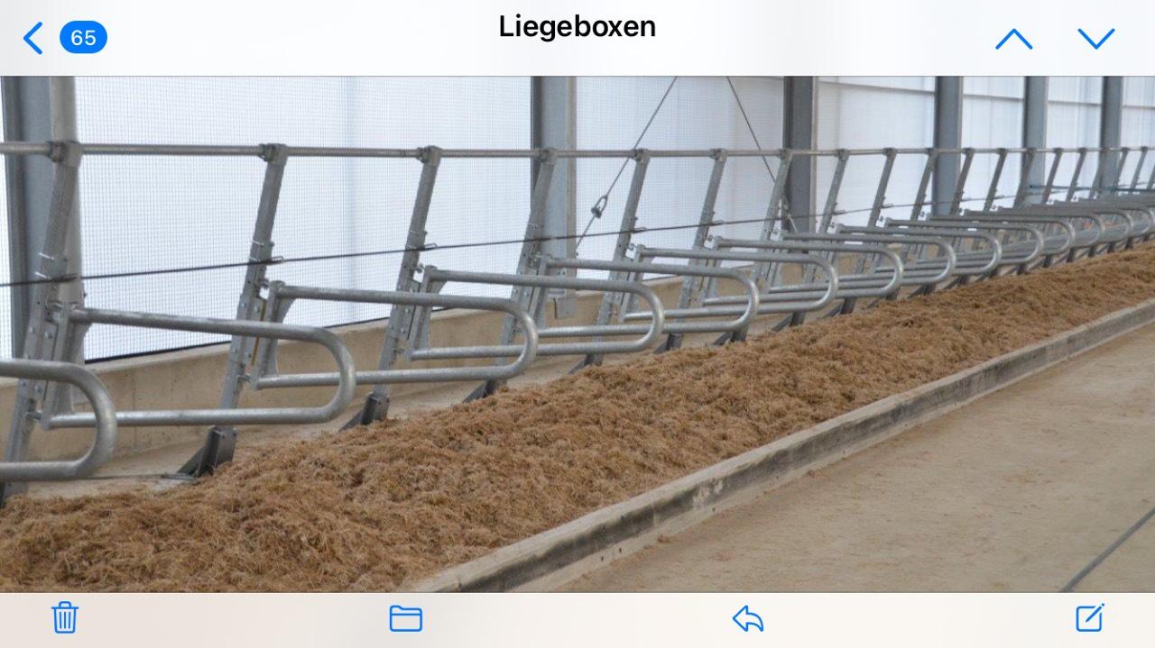 Liegeboxen BRÄUER SWING-COMFORT 1