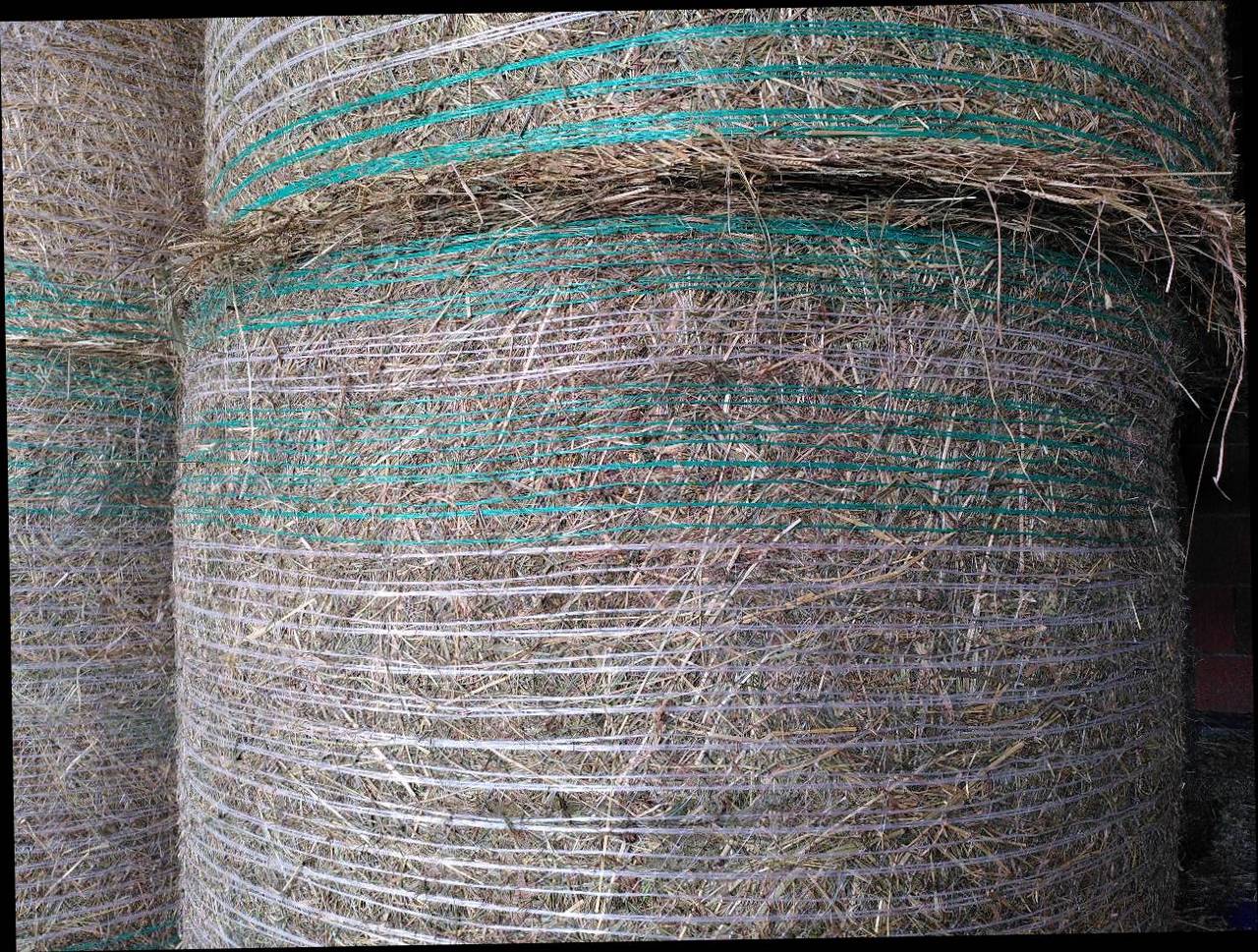 Belüftetes Bio Heu 2025 2