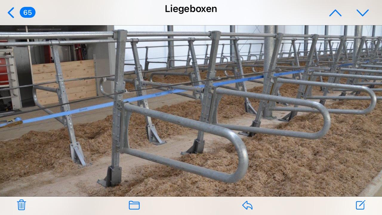 Liegeboxen BRÄUER SWING-COMFORT 3
