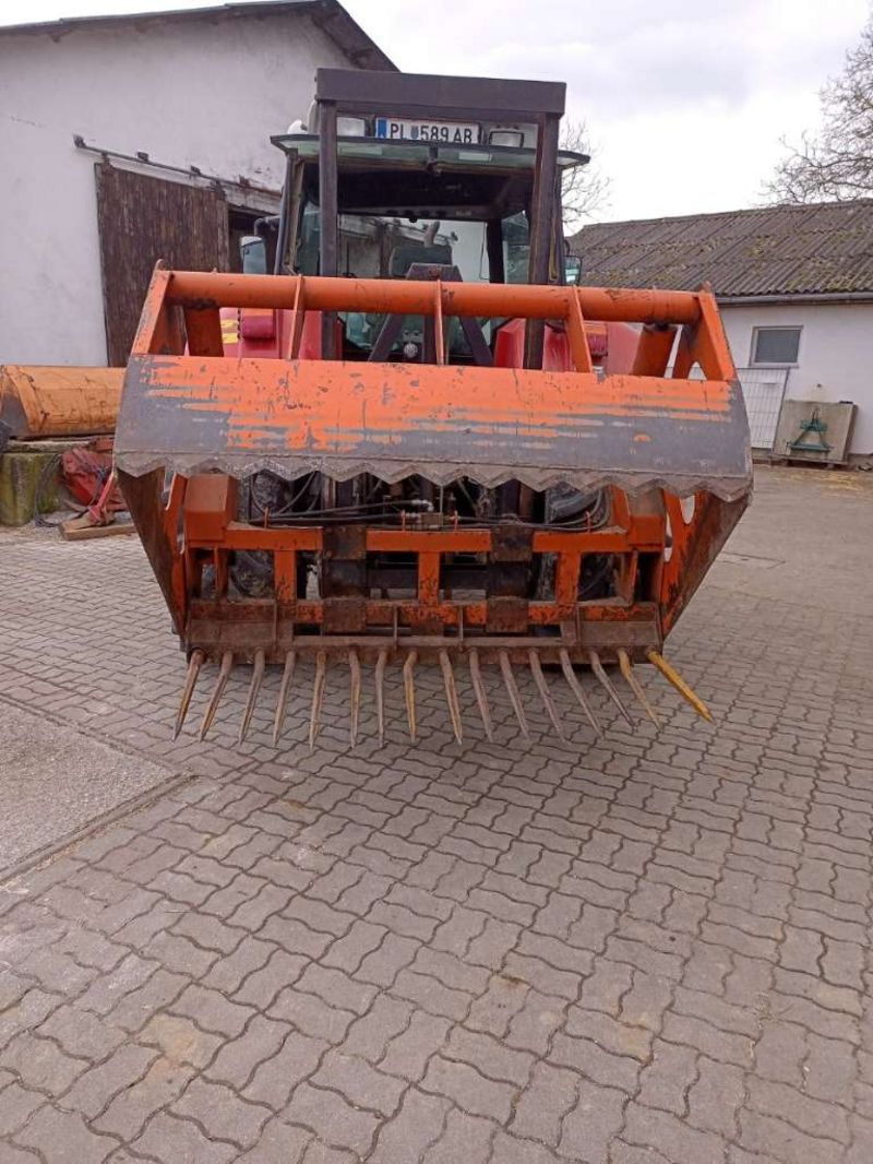 Silagezange Mammut Hauer Aufnahme 2