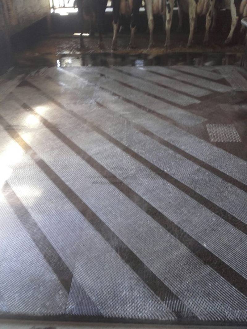 Stalleinrichtung Boden: Stallbodensanierung gebraucht kaufen - Landwirt.com