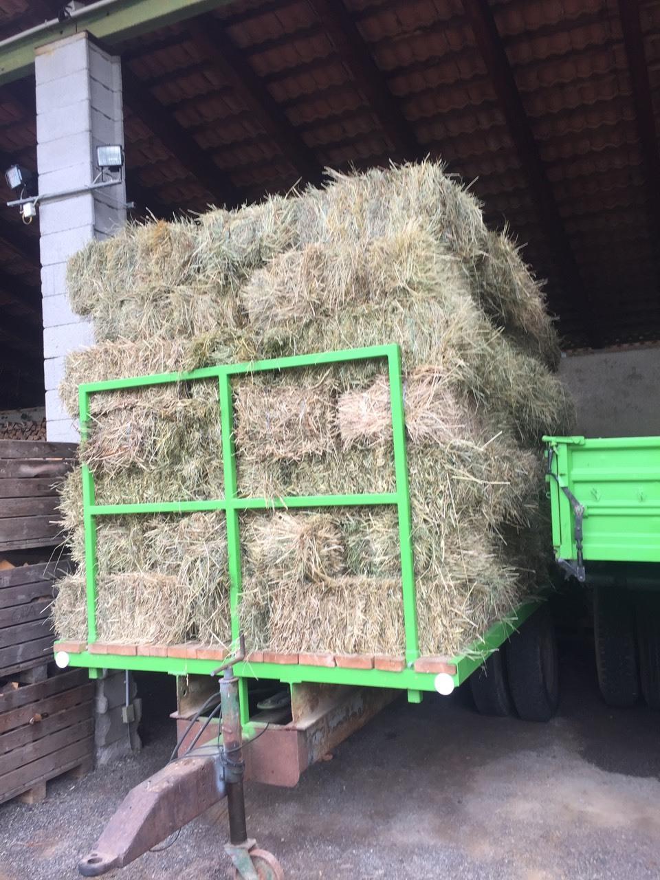 Heu: Heu kaufen - Landwirt.com