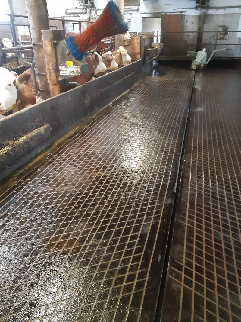 Stalleinrichtung Boden: Stallboden Sanierung gebraucht kaufen