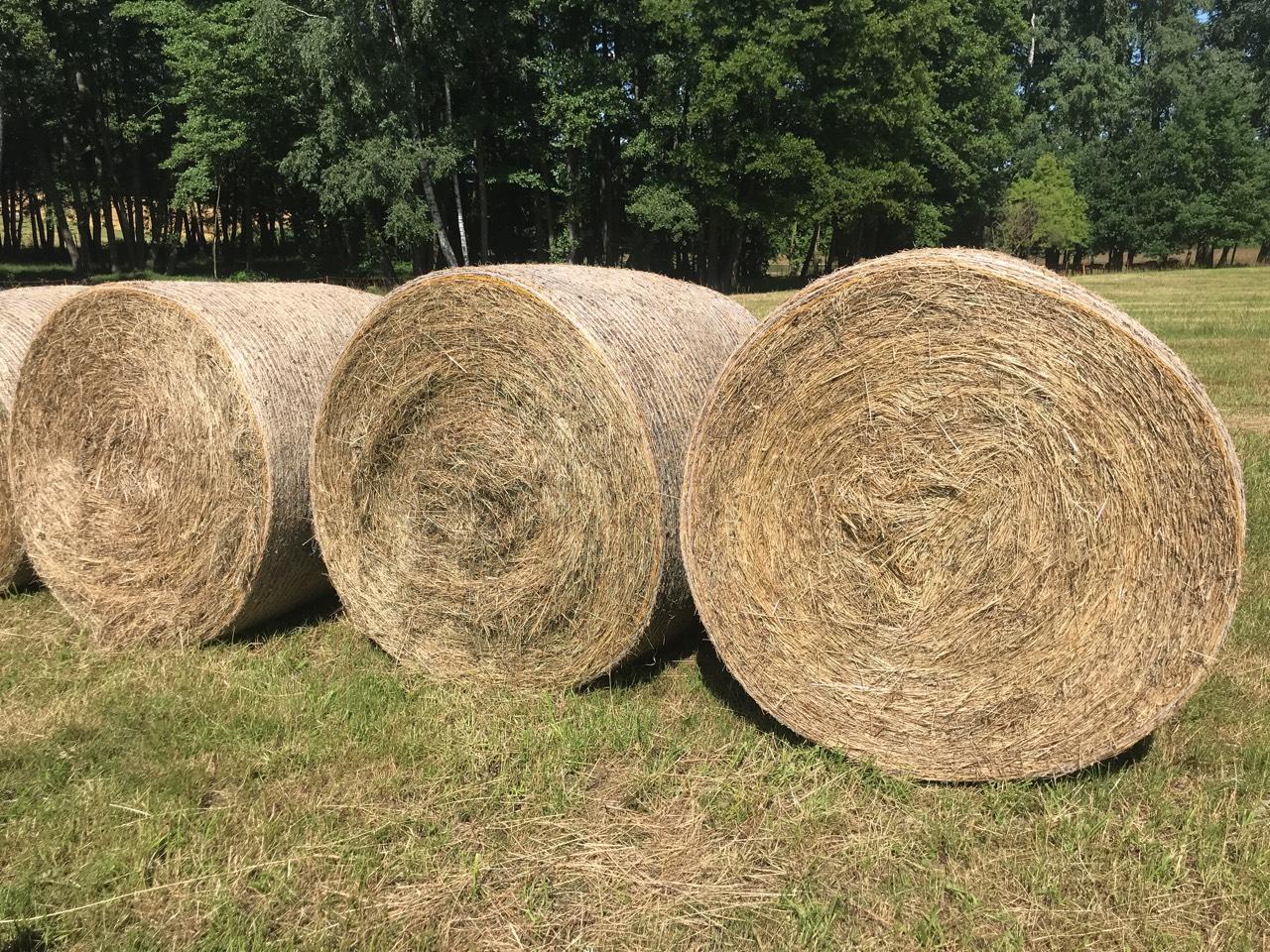 BIO Heuballen 130 cm 2