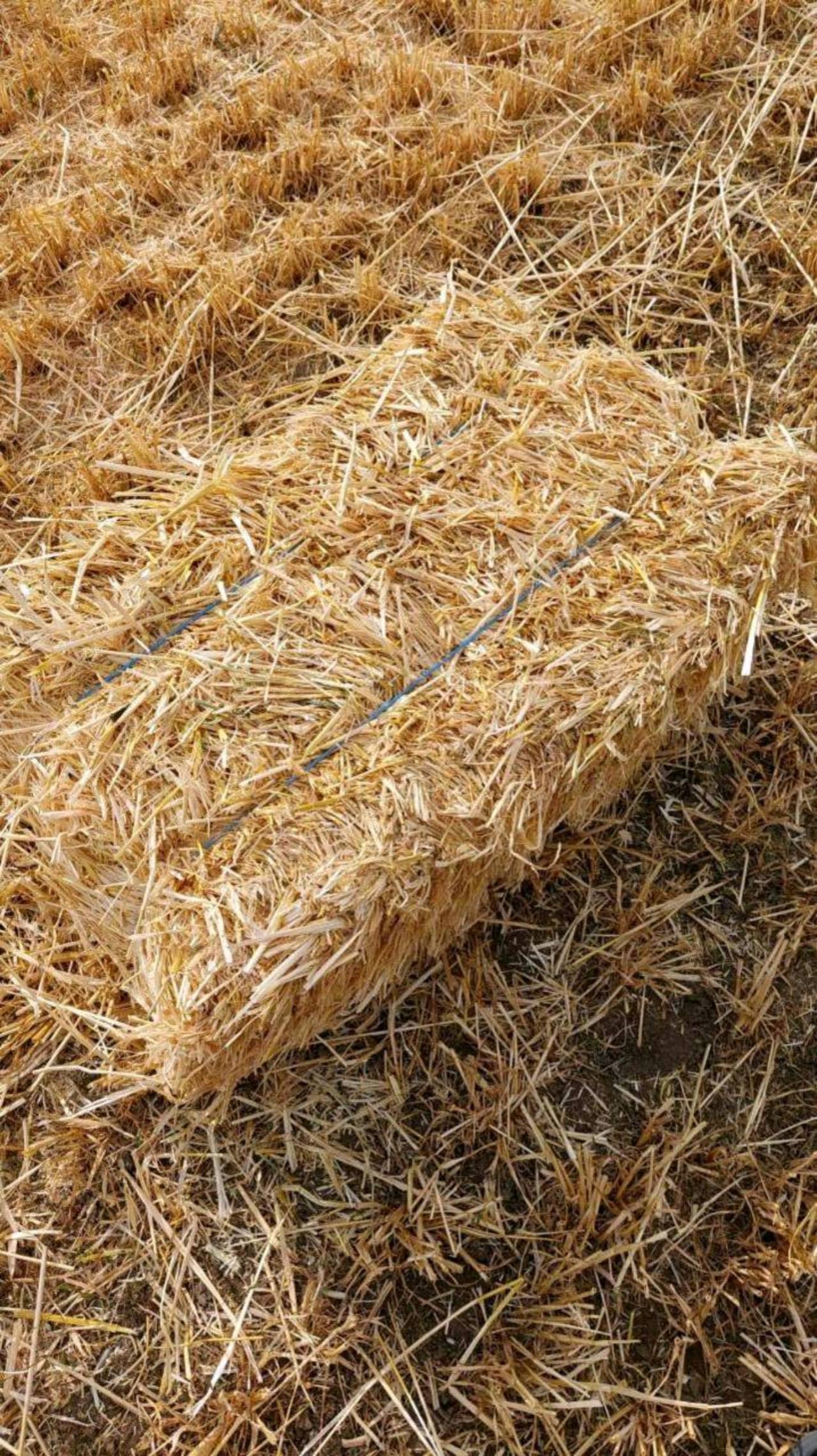 Stroh Stroh in kleinballen kaufen