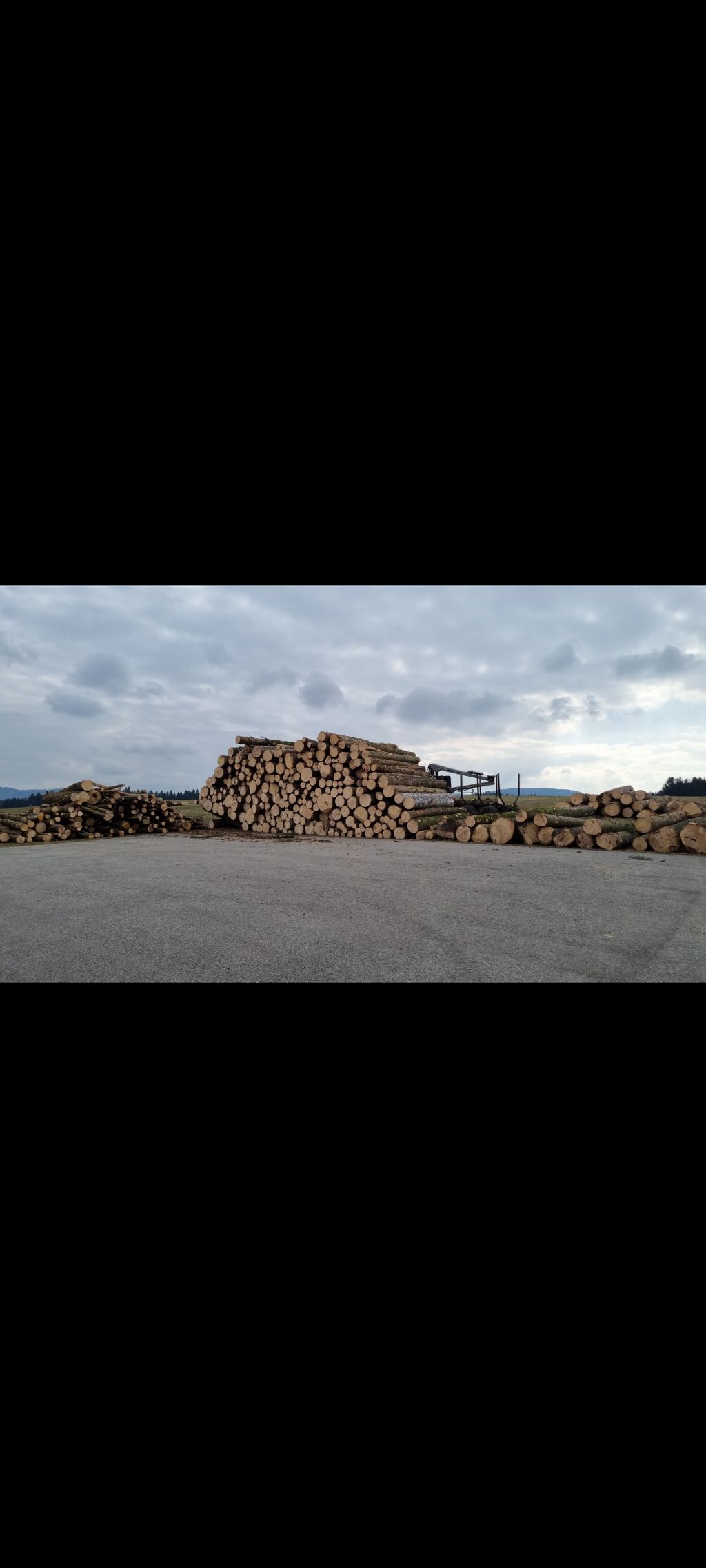 Forstarbeiten und Baggerarbeiten 3