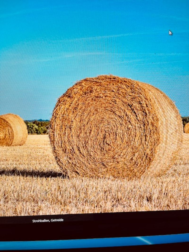 Stroh: Strohballen Kaufen - Landwirt.com