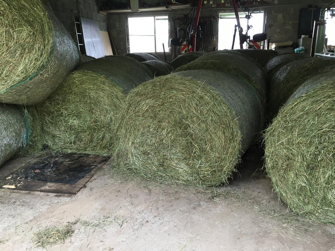 Wie Viel Kilo Hat Ein Rundballen Heu Heu: Heu Rundballen 1. Schnitt kaufen - Landwirt.com