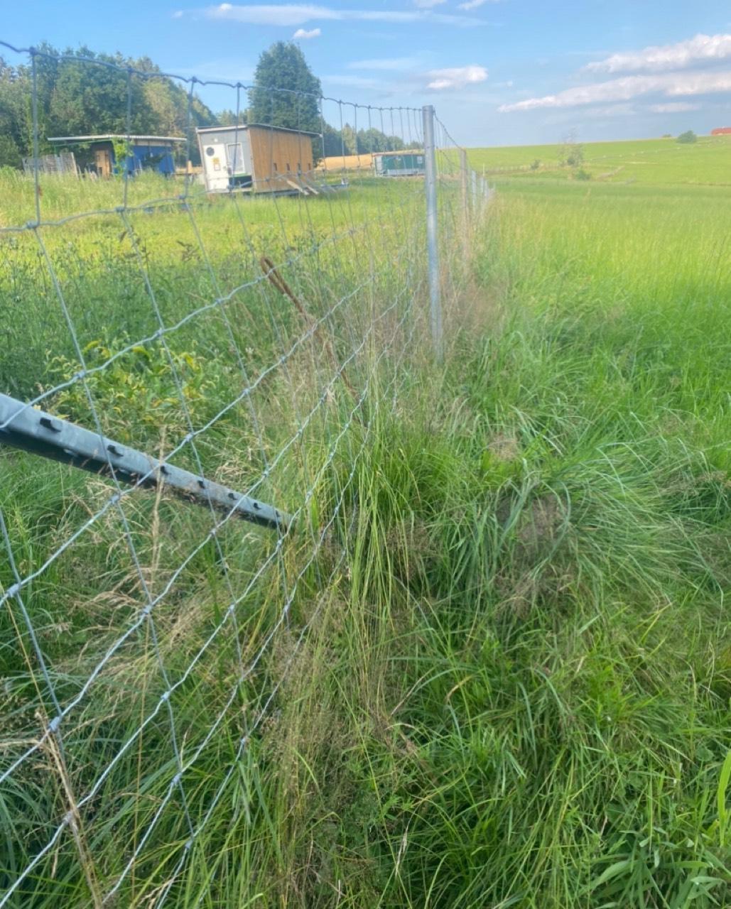 34+ Zaun Kaufen Gebraucht, Tolle angebote bei ebay für gartenzaun