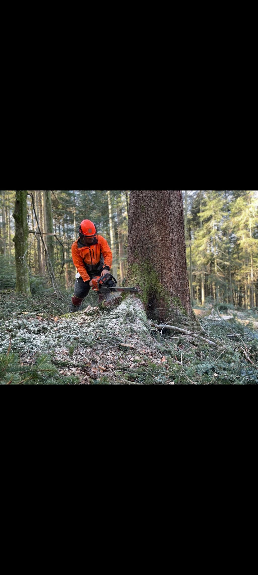 Forstarbeiten und Baggerarbeiten 2