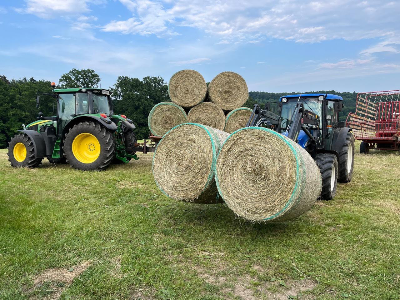 Heu: Heuballen Kaufen - Landwirt.com