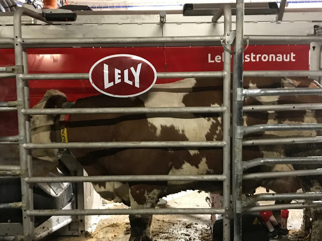 Praxisplatz Sommer/Herbst 2026 3