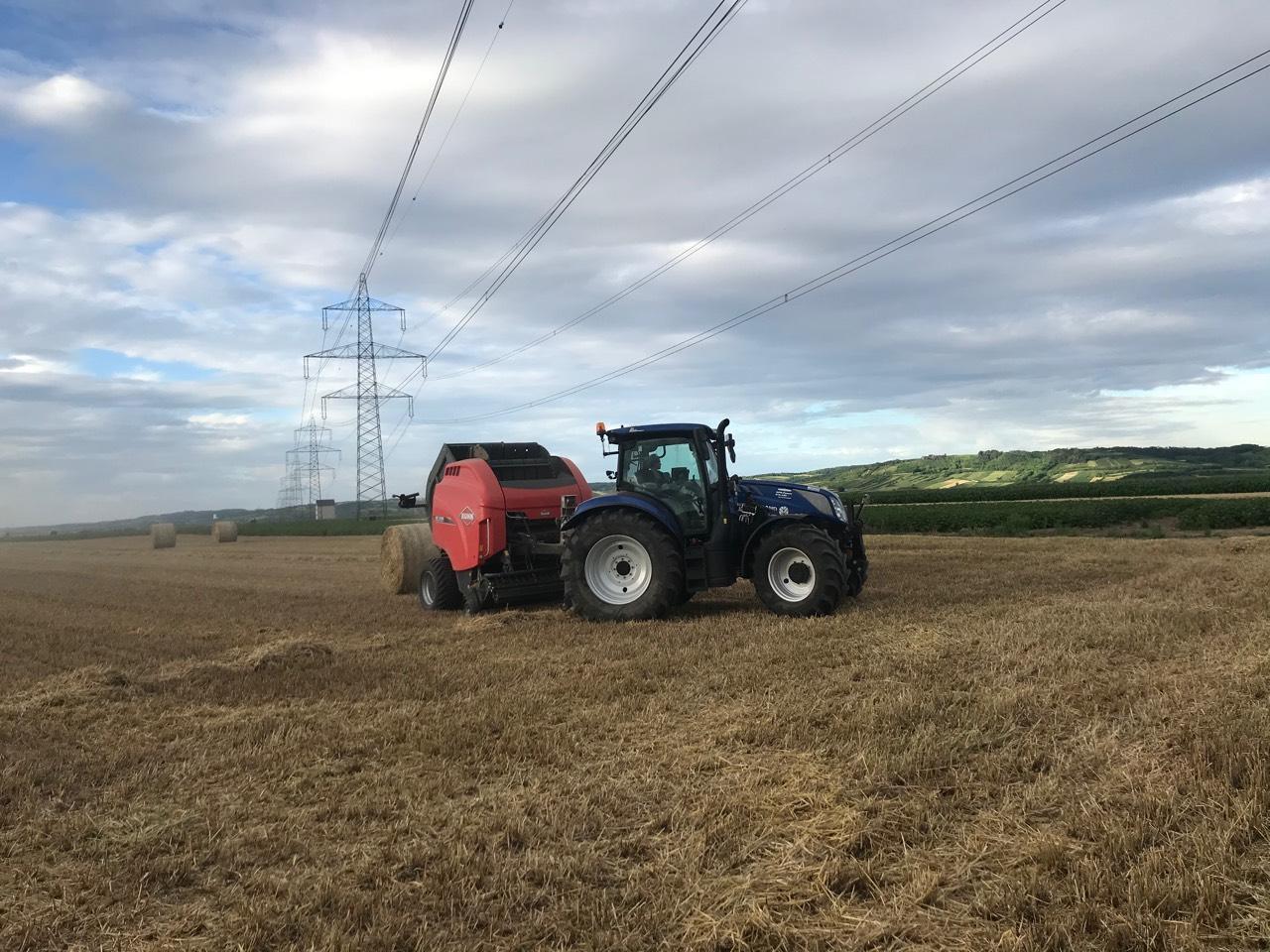 Praxisplatz Sommer/Herbst 2026 2