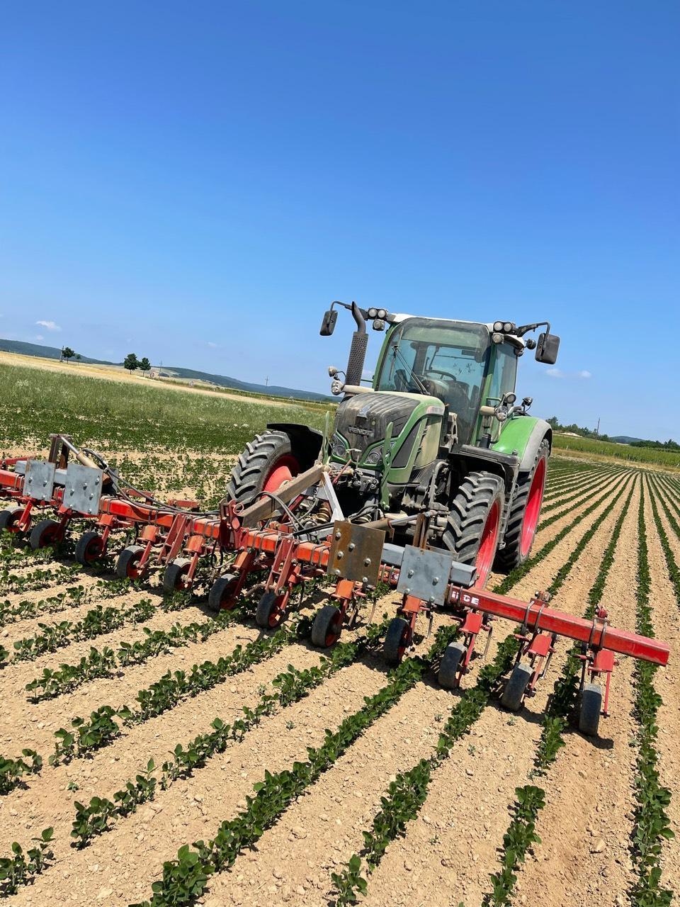 Hackgerät 12reihig 45 cm 1