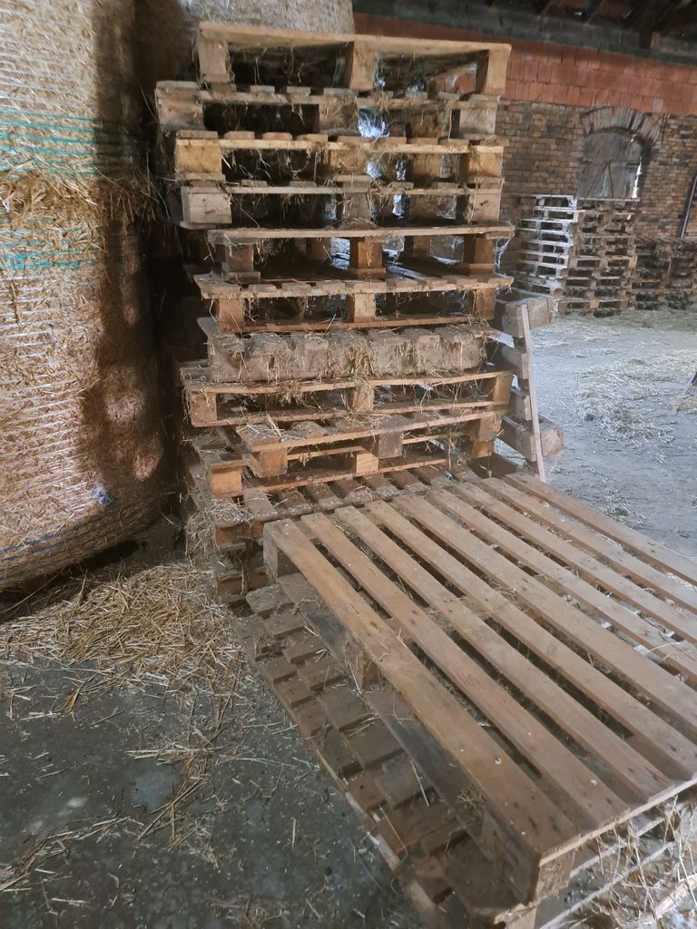 Einwegpaletten 2