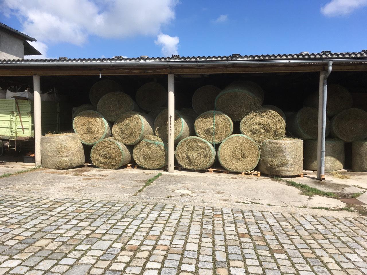 Heu: Heu kaufen - Landwirt.com