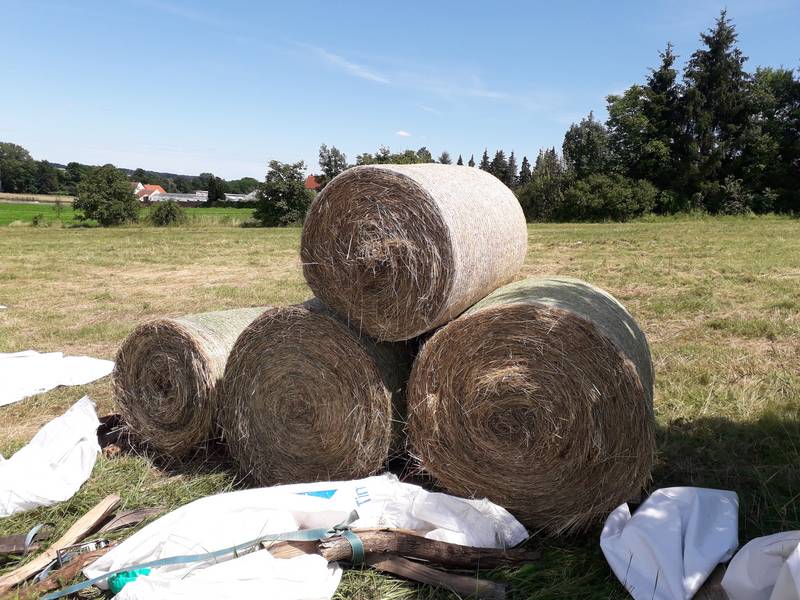 Heu: HEU in Rundballen und Kleinballen kaufen - Landwirt.com