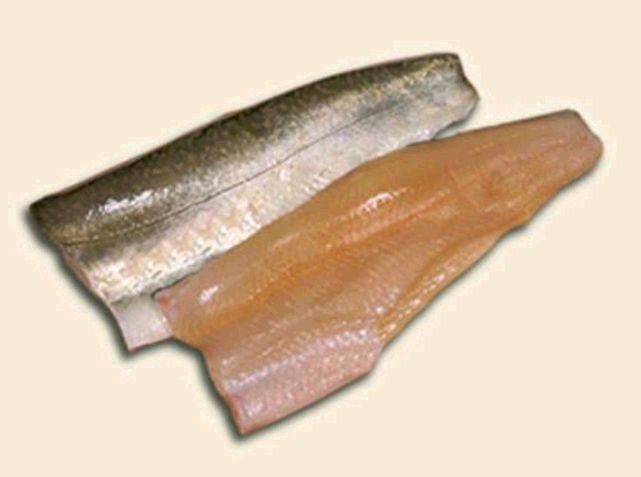 Fisch Saibling Im Ganzen Oder Als Filet Kaufen Landwirt