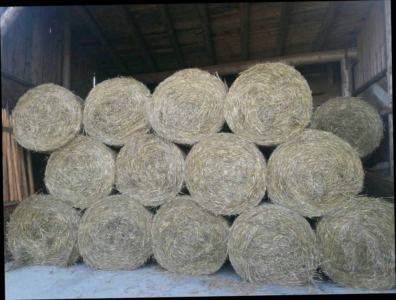 Stroh Strohballen, stroh kaufen