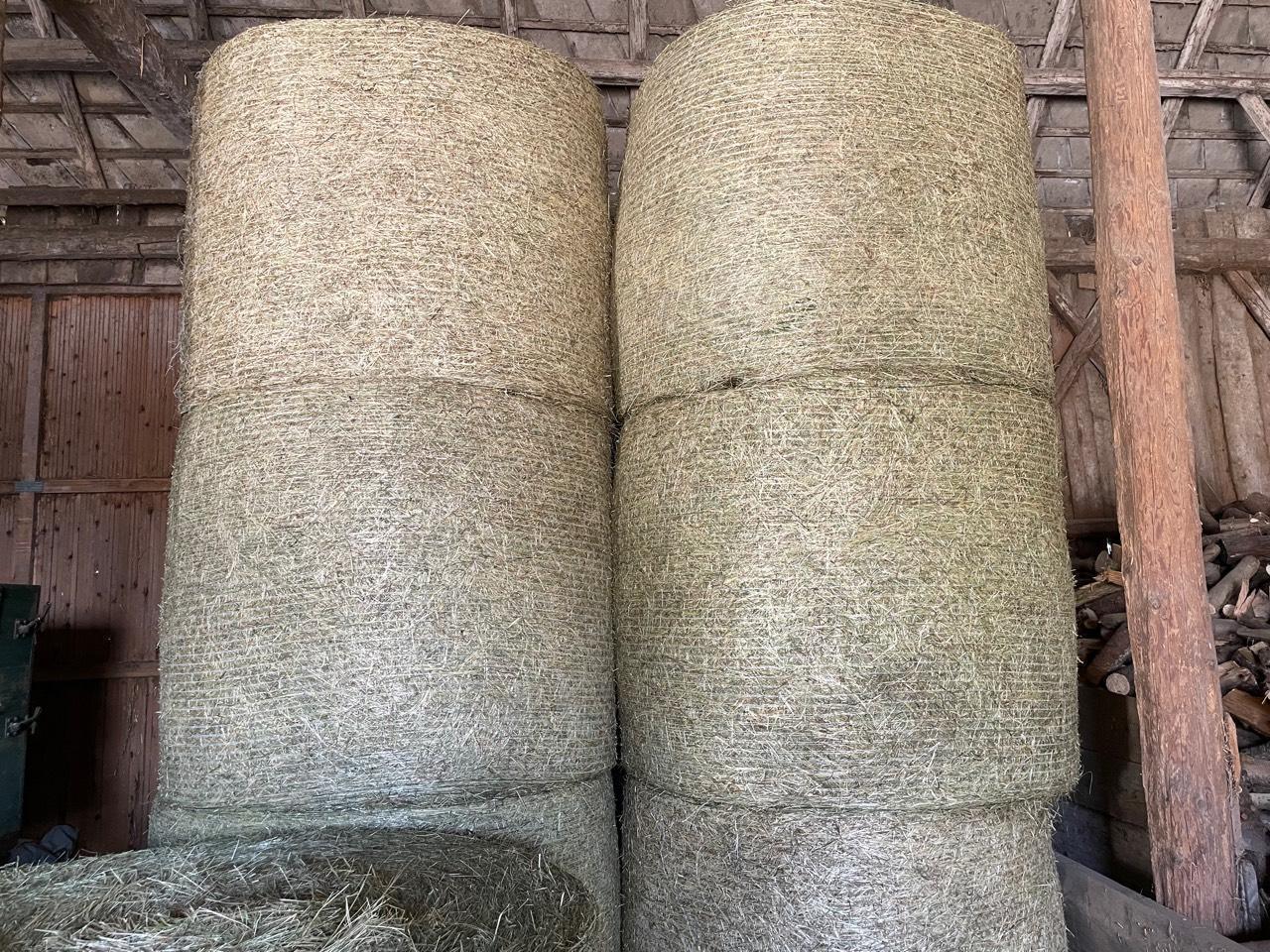 Heurundballen hallengelagert 2