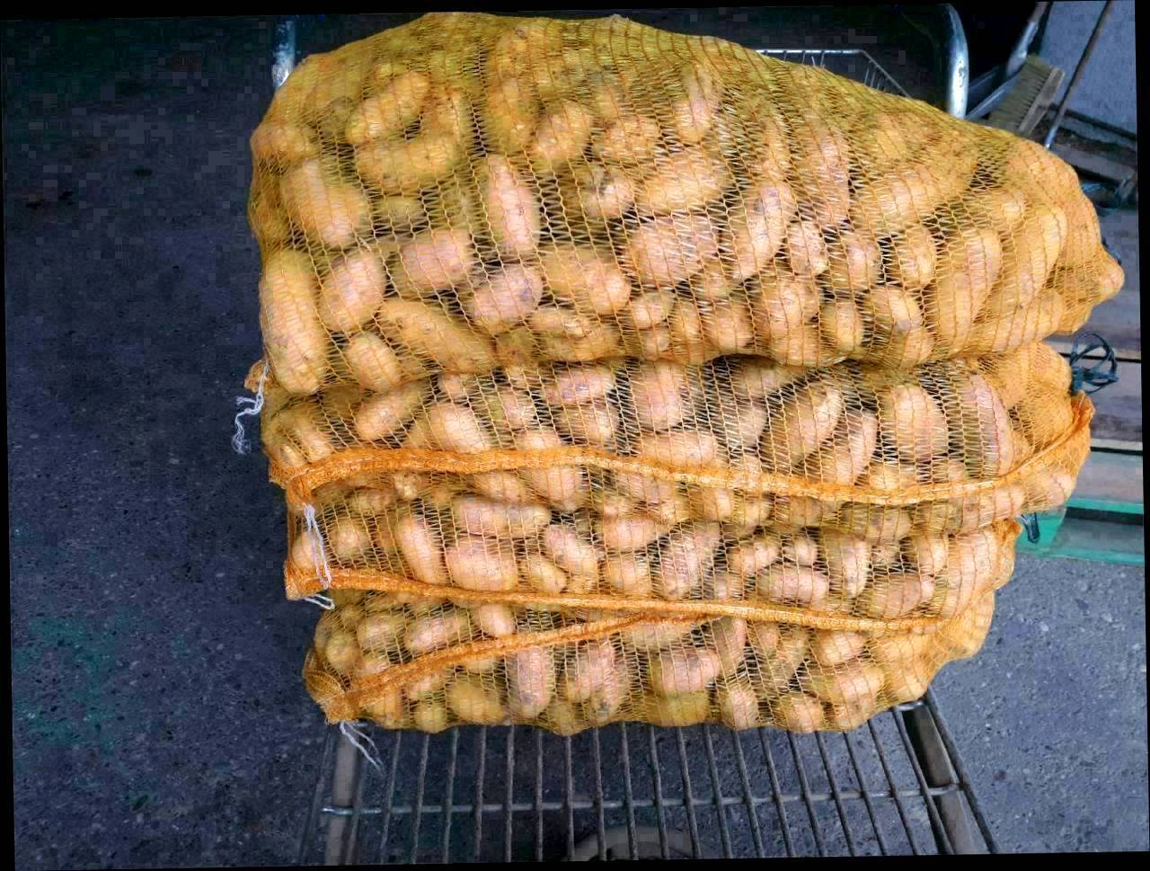 Verkaufe Kartoffel, Erdäpfel (Ditta, Valdivia) 1