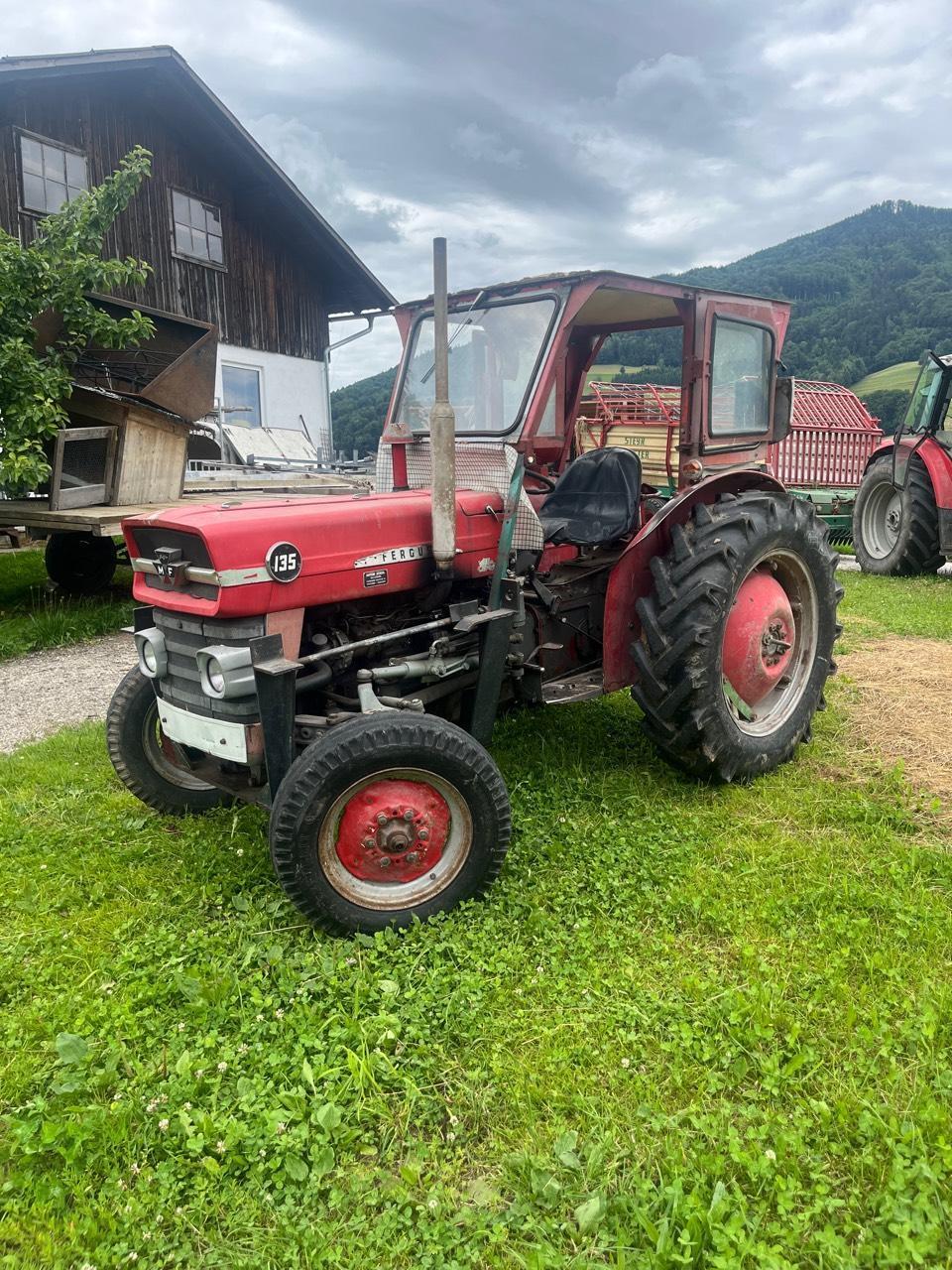 Massey Ferguson 135 aus Erstbesitz 2