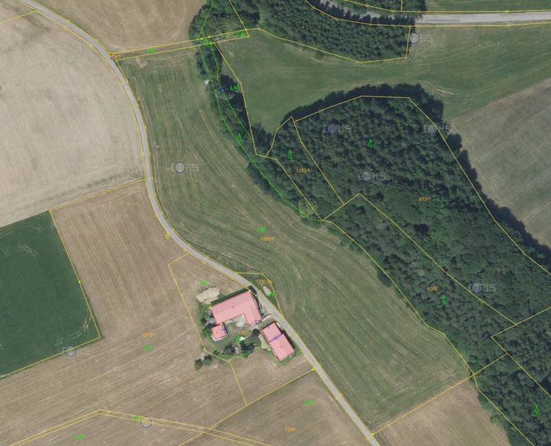 Wälder Wald, Waldgrundstück kaufen