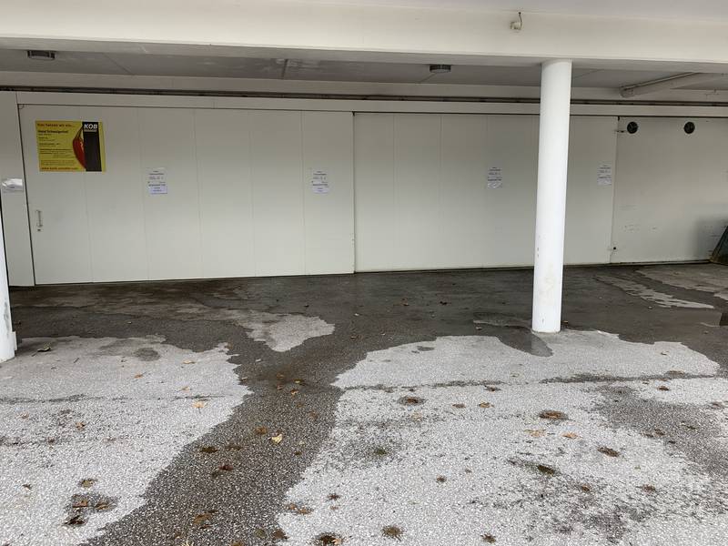 Tore / Garagentore: Garagentor gebraucht kaufen - Landwirt.com