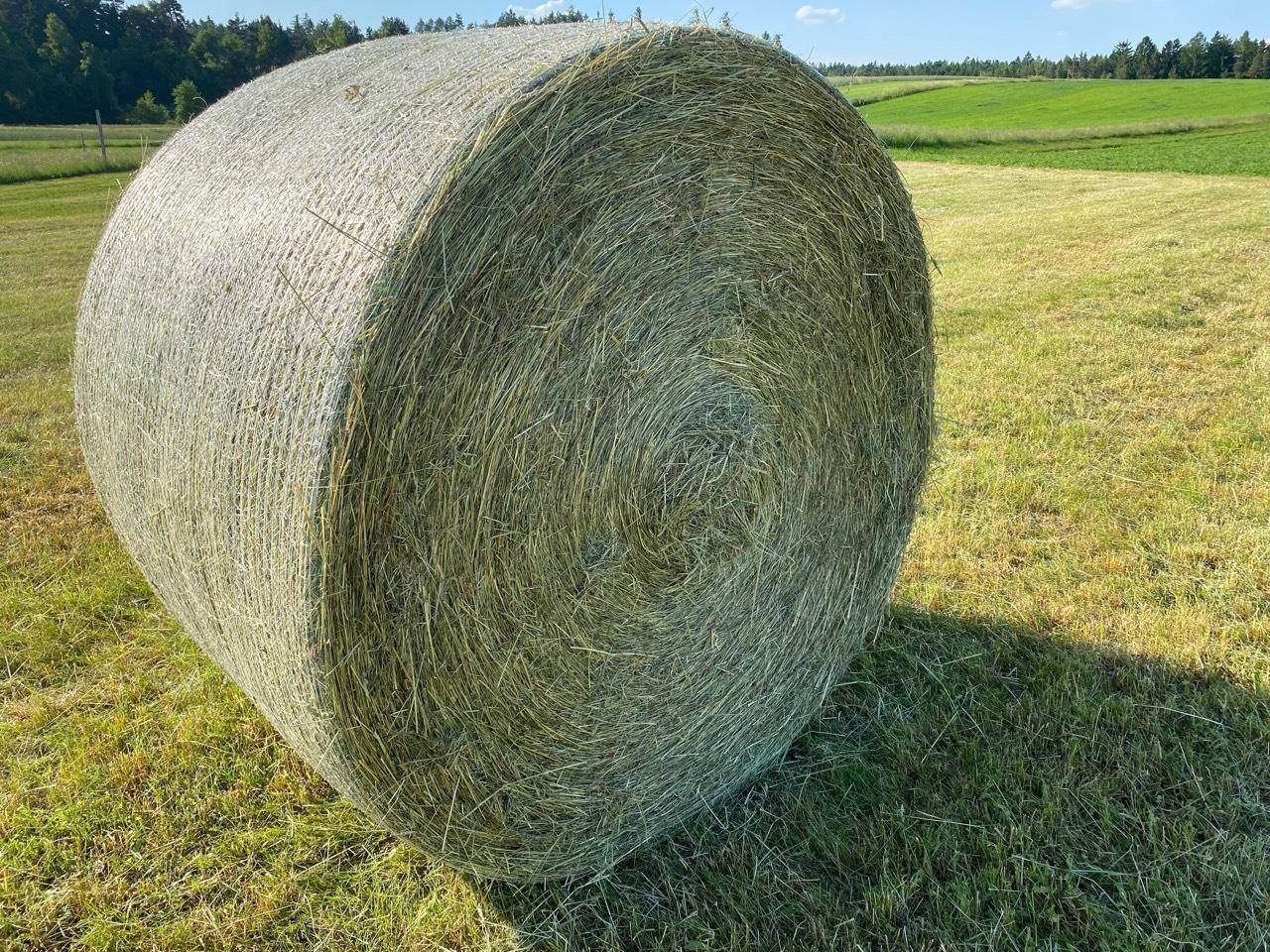 Heu: Heu kaufen - Landwirt.com