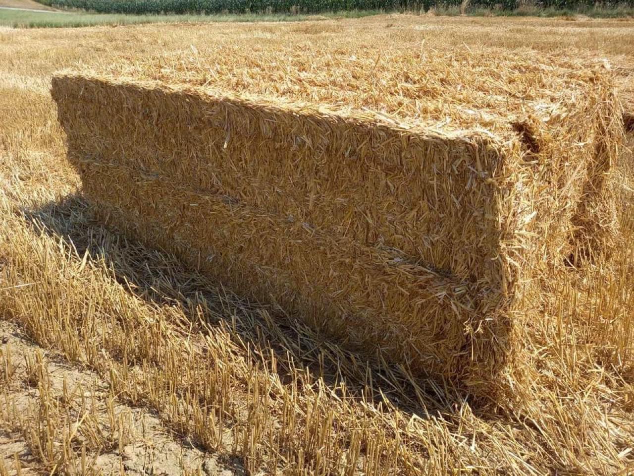 Stroh Stroh kaufen