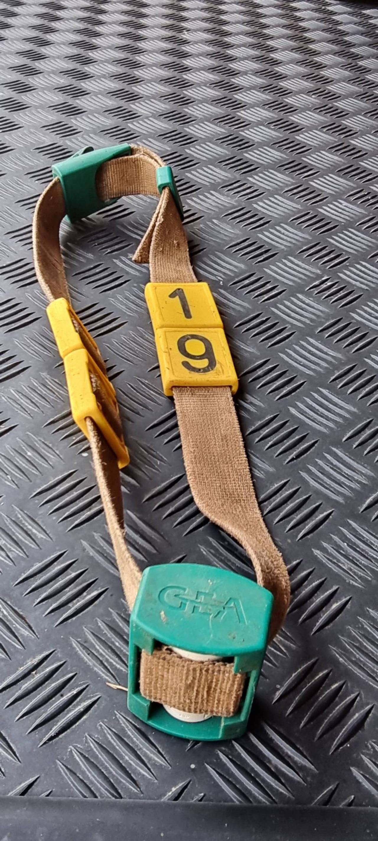 Die Mit Dem Roten Halsband Original