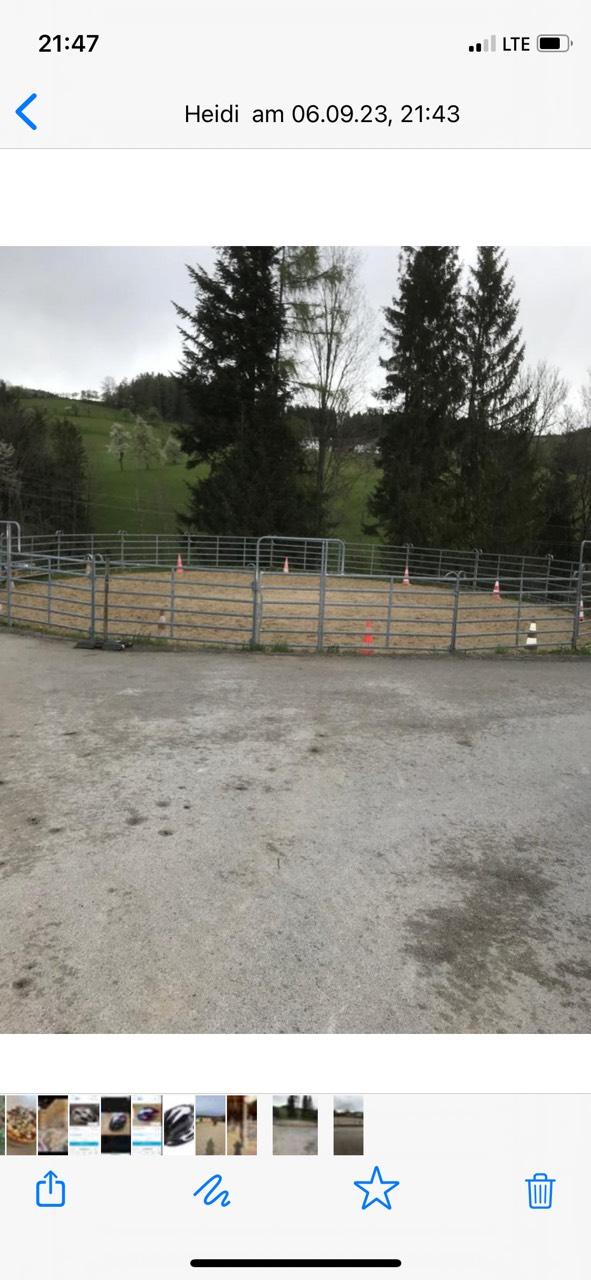 Pferdeeinstellplätze 2