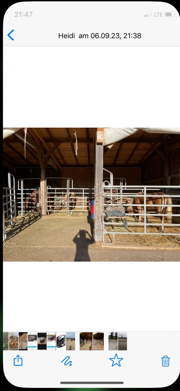 Pferdeeinstellplätze 3