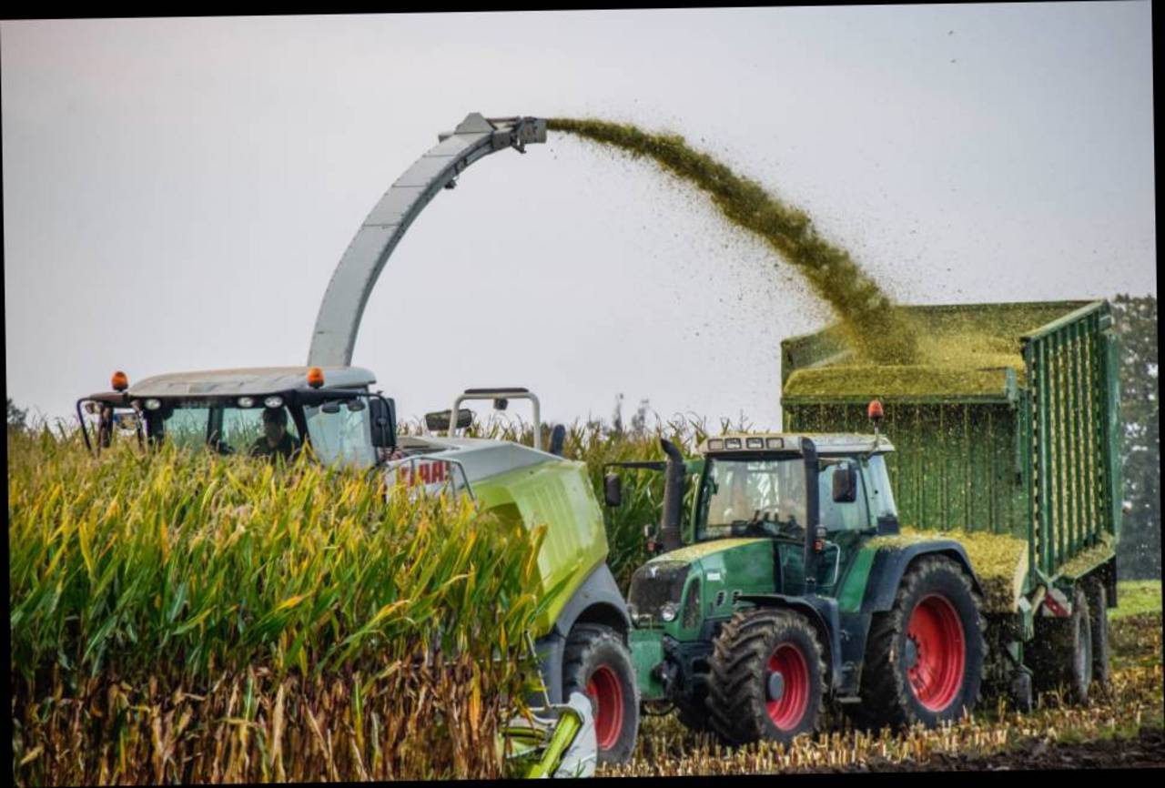 Mais Maisballen Kaufen Landwirt Com