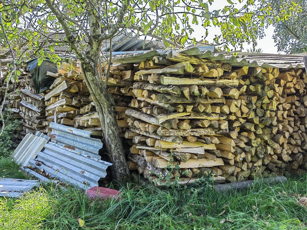 Brennholz 1