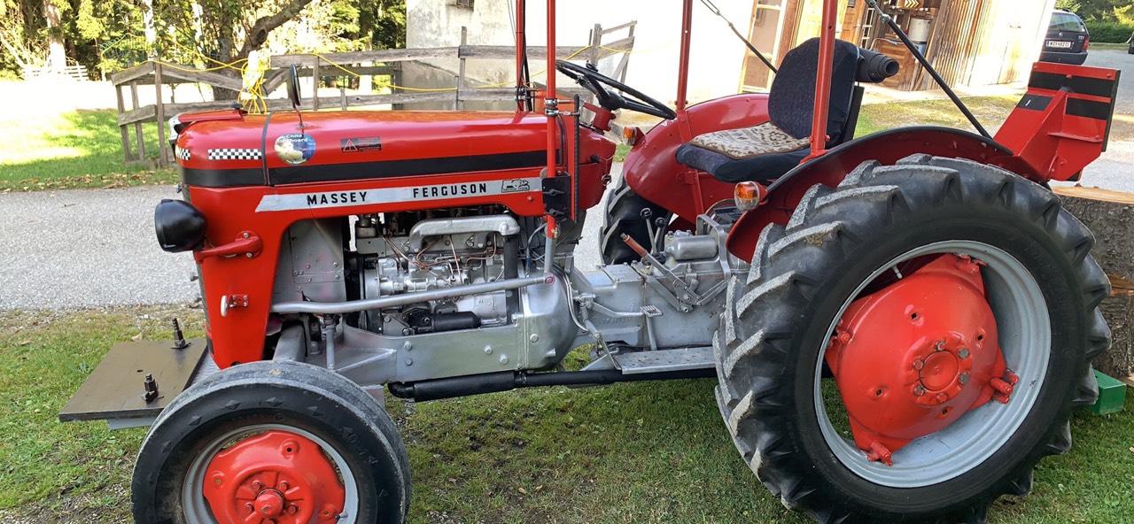 Massey Ferguson: Mf 25 gebraucht kaufen - Landwirt.com