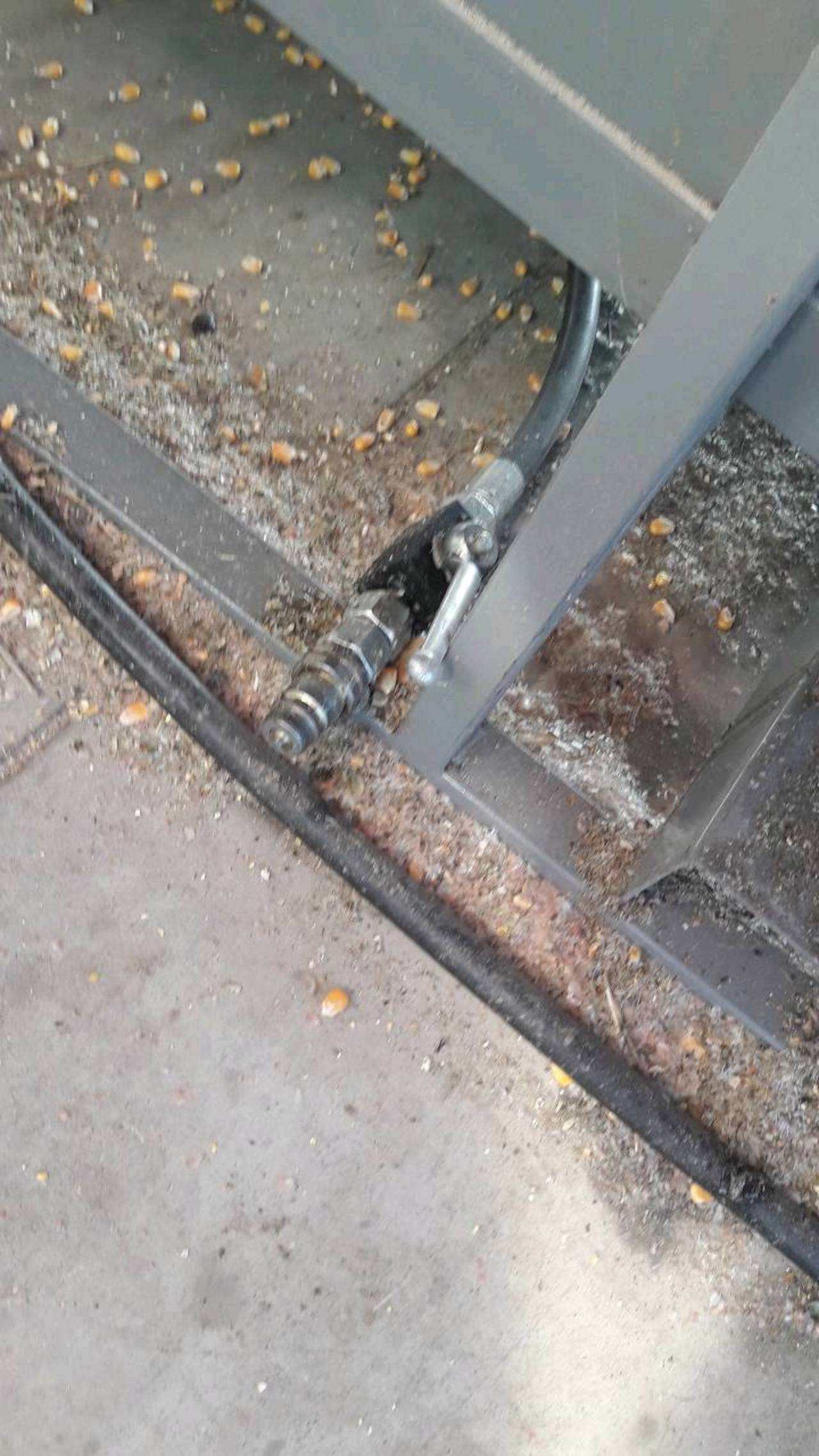 Sonstige Erntegeräte: Trockenanlage Flach gebraucht kaufen - Landwirt.com