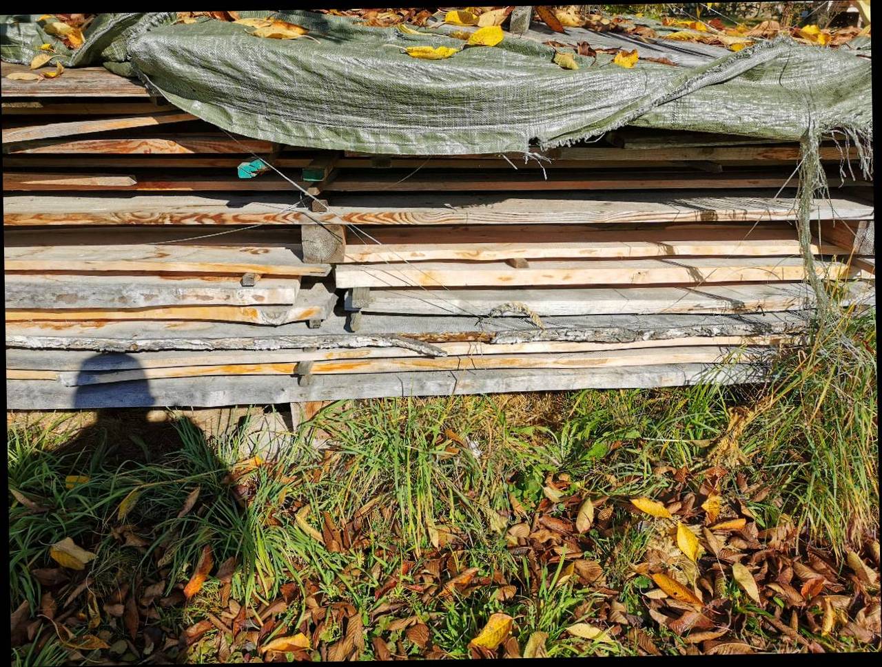 Schnittholz Birkenholz gebraucht kaufen