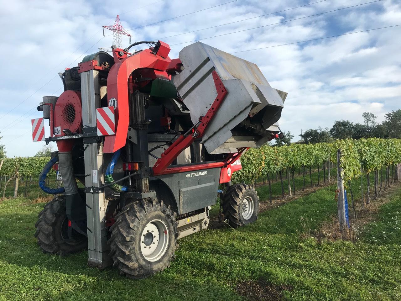 Gebrauchte Weinbautechnik für Weinbau kaufen - Landwirt.com