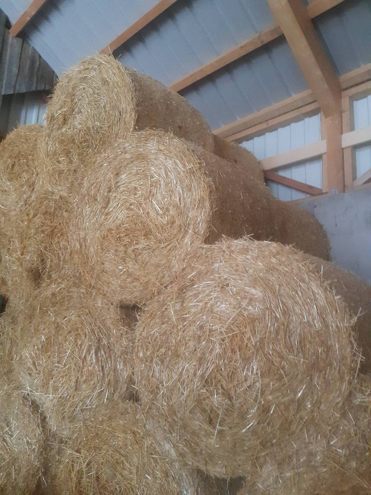 Stroh Stroh kaufen