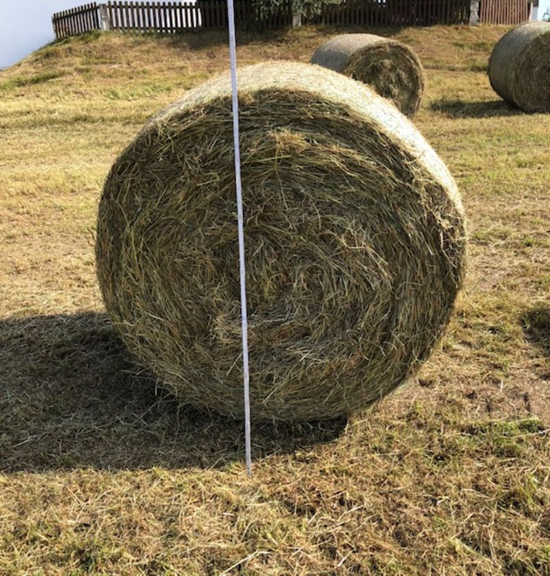 Pferdeheu Rundballen Erstschnitt August 2025 2