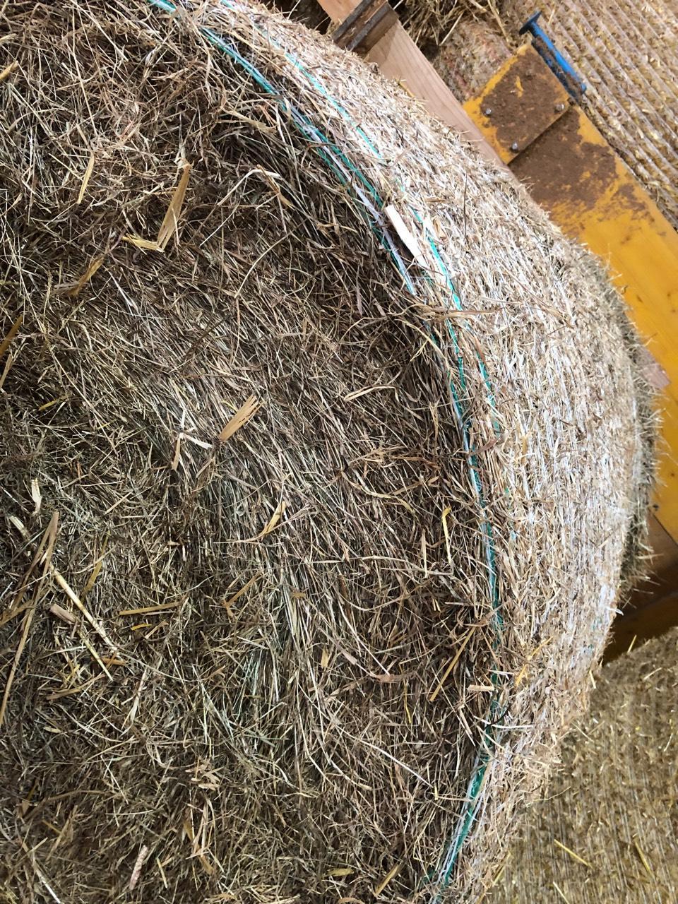 Wie Viel Kilo Hat Ein Rundballen Heu Heu: Heu Rundballen kaufen - Landwirt.com