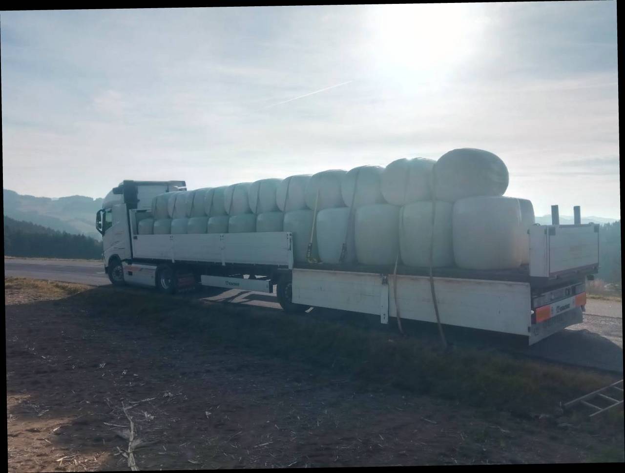 Silomais in Rundballen 2