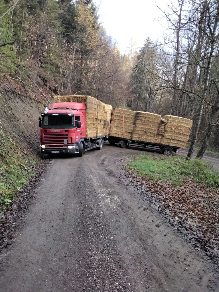 Stroh, Weizen geschnitten gemahlen, Hafer Futterstroh 3