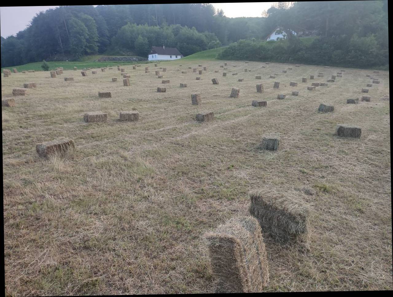 Heu: Heu HD Ballen Kaufen - Landwirt.com