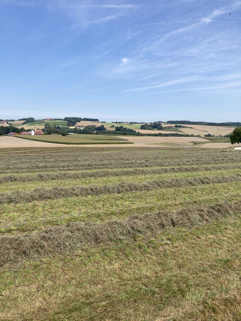 Heuballen, Grummetballen 3