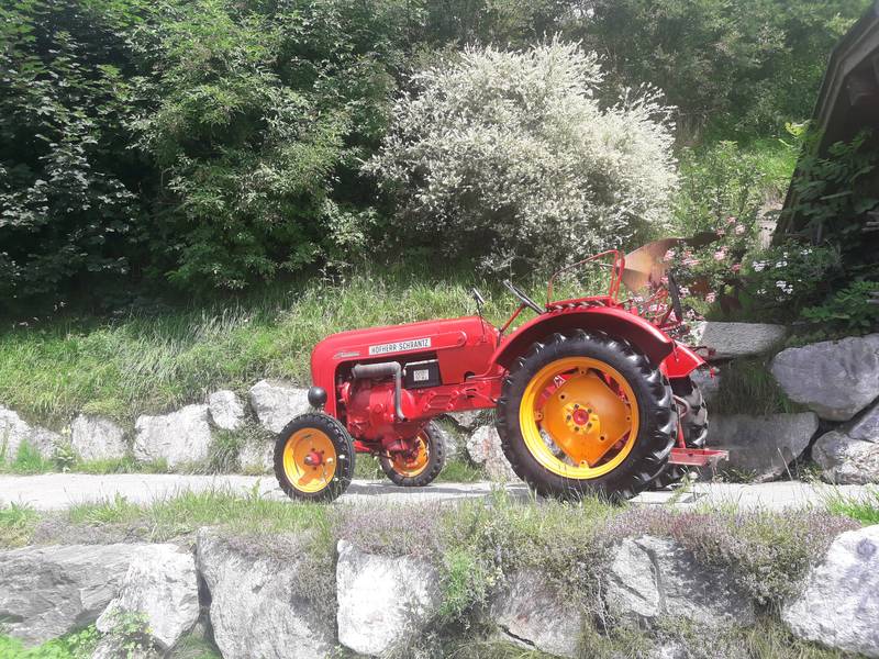 Oldtimer Traktor privat kaufen und verkaufen - auf www.landwirt.com