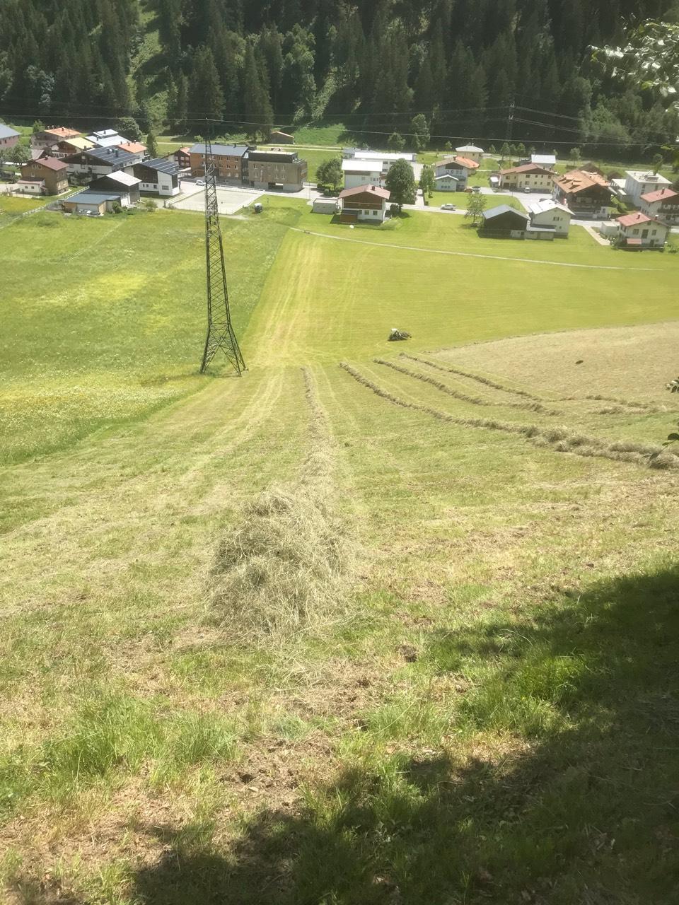 Pacht: Landwirtschaft zu pachten kaufen - Landwirt.com