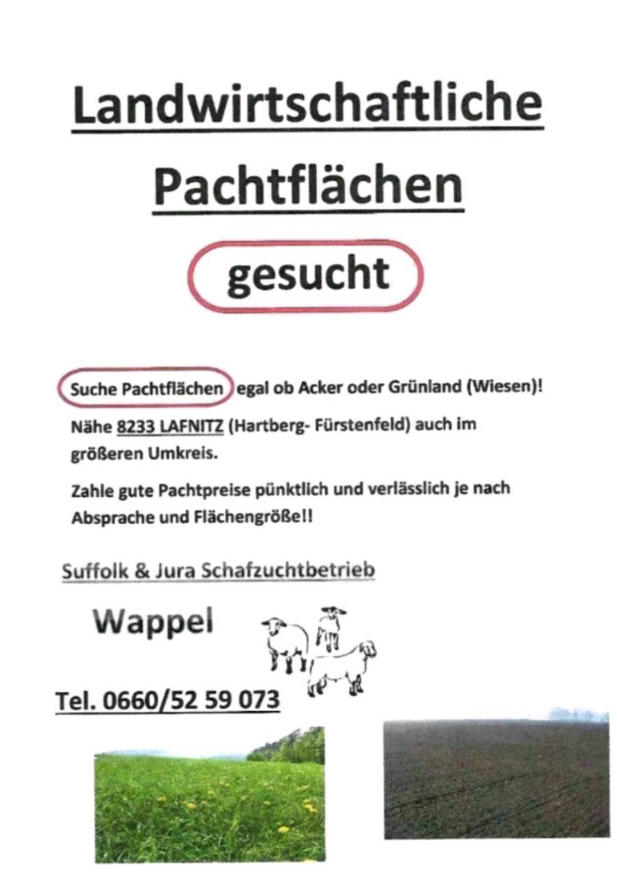 Pacht: Landwirtschaftliche Pachtflächen kaufen - Landwirt.com
