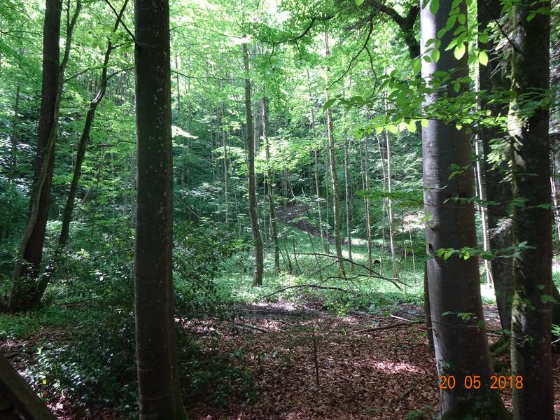 Treffen in rstorf. Sex sucht in Offenbach am Main. Singletreff Ybbs an der donau flirten. Wlfnitz partnervermittlung. Ternitz flirten. Trumau single mnner. Frauen suchen mann kefermarkt. Reife frauen sucht sex